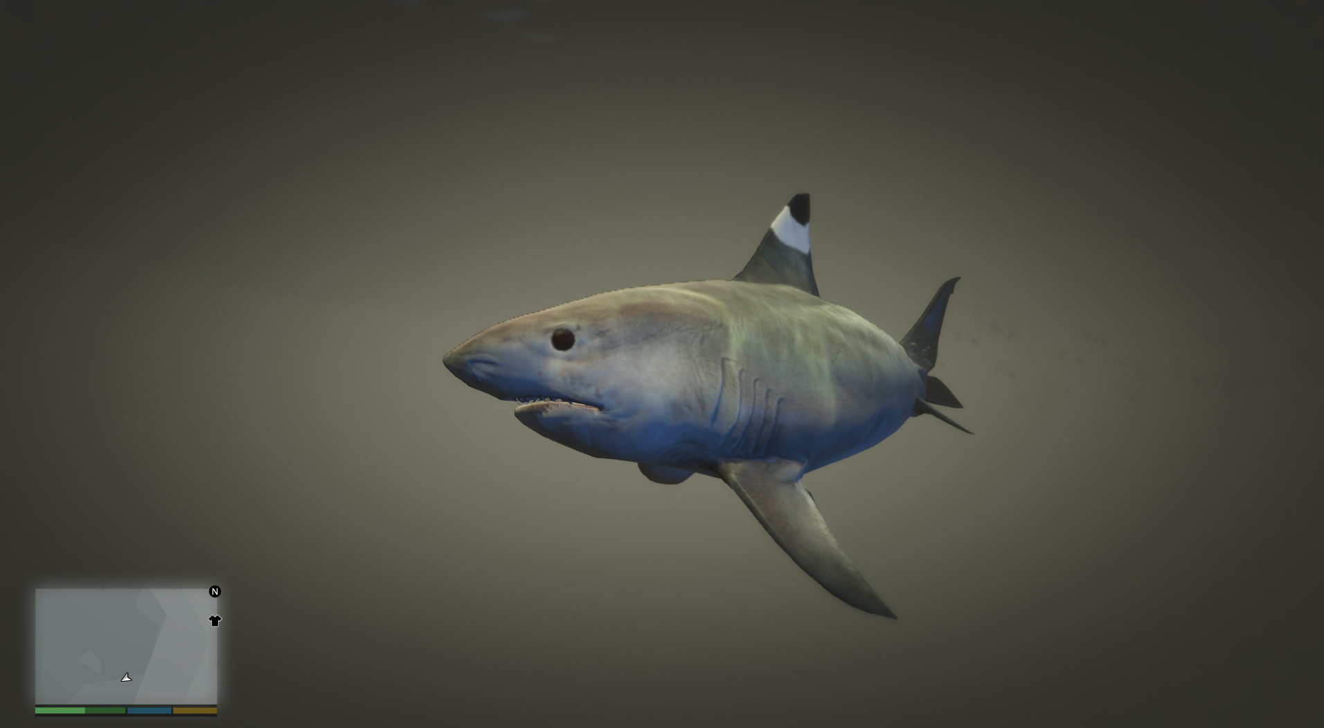 shark gta 5 online